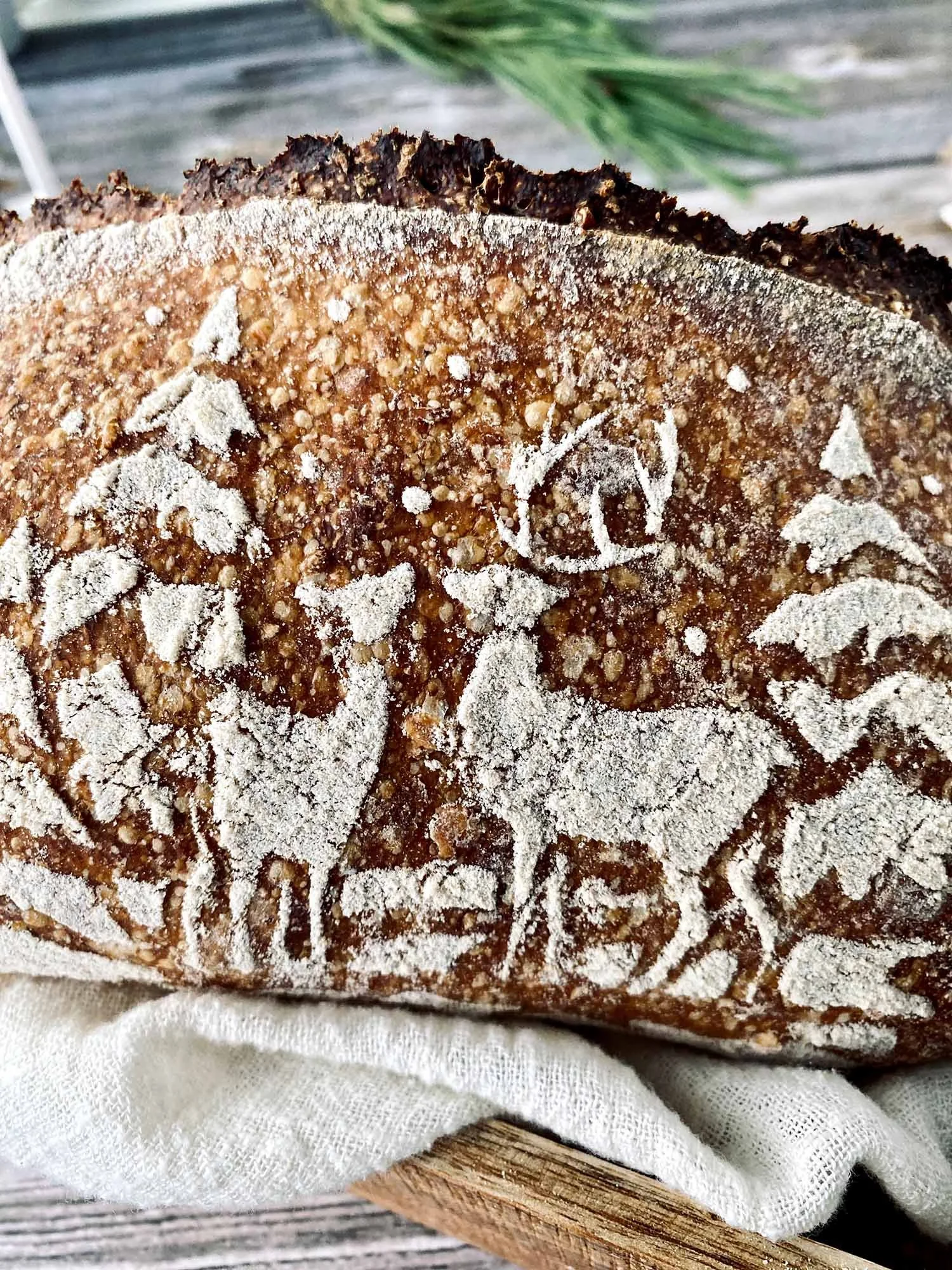 Bread Art 25 — SOURDOUGH FEVER